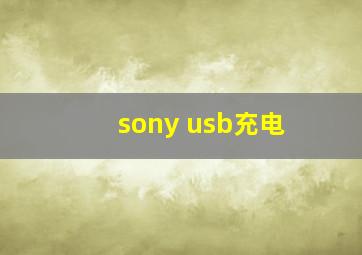 sony usb充电